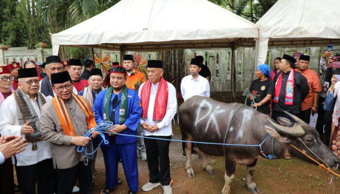 Hadiri Andilan Kebo, Pramono Anung Tegaskan Komitmen Jaga Budaya Betawi di Tengah Modernisasi Jakarta