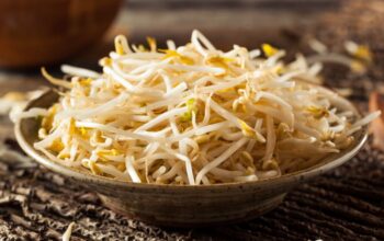 Toge untuk Ibu Hamil: Murah, Mudah Didapat, Tapi Punya Segudang Manfaat Penting, Ini Faktanya!