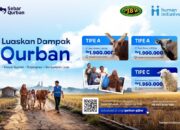Sebar Qurban 2026: Kolaborasi Human Initiative dan PJBW Bikin Ibadah Lebih Bermakna hingga Pelosok Negeri