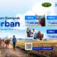 Sebar Qurban 2026: Kolaborasi Human Initiative dan PJBW Bikin Ibadah Lebih Bermakna hingga Pelosok Negeri