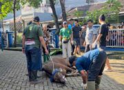Semangat Gotong Royong Terasa Hangat, Masjid Ar-Rahmah Cileungsi Sembelih 10 Sapi dan 23 Kambing Saat Idul Adha 1447 H