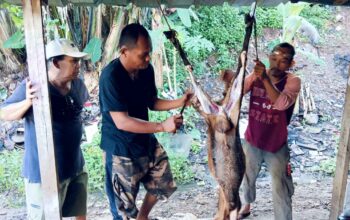 Makna Kurban Tak Sekadar Ritual, Eddie Karsito Ajak Masyarakat Lebih Peduli Pemulung dan Kaum Rentan