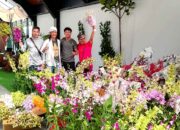 Indonesia Bertarung Lawan Thailand di Panggung Anggrek Dunia