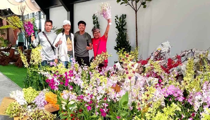 Indonesia Bertarung Lawan Thailand di Panggung Anggrek Dunia, Tapi Tanpa Membawa Satu Bunga Pun
