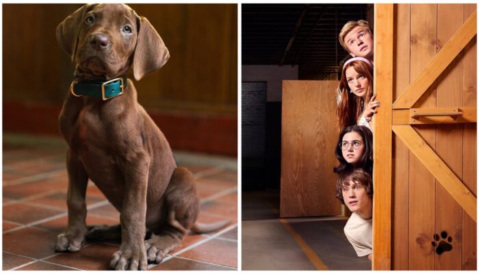 Netflix Bongkar Asal-Usul Scooby-Doo! Serial Live-Action “Scooby-Doo: Origins” Siap Ungkap Misteri Pertama Mystery Inc pada 2027
