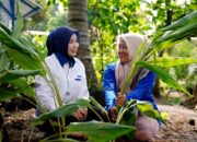 PNM Layani 23,3 Juta Nasabah, Pendapatan Perempuan Prasejahtera Naik hingga Rp875 Ribu per Bulan