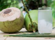 Minum Air Kelapa Setiap Hari, Ini 5 Manfaat untuk Kesehatan