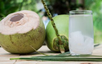 Minum Air Kelapa Setiap Hari, Ini 5 Manfaat untuk Kesehatan