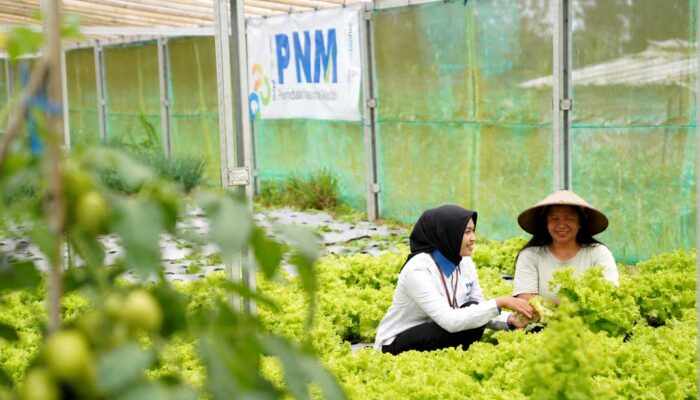 Layani 23,3 Juta Nasabah, PNM Sabet Penghargaan Indonesia Most Trusted Companies