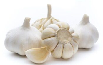 7 Manfaat Bawang Putih Mentah, dari Imun hingga Jantung