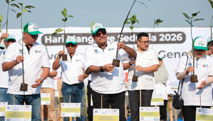DKI Tanam 21.060 Mangrove, Perkuat Pesisir Sambut 500 Tahun Jakarta