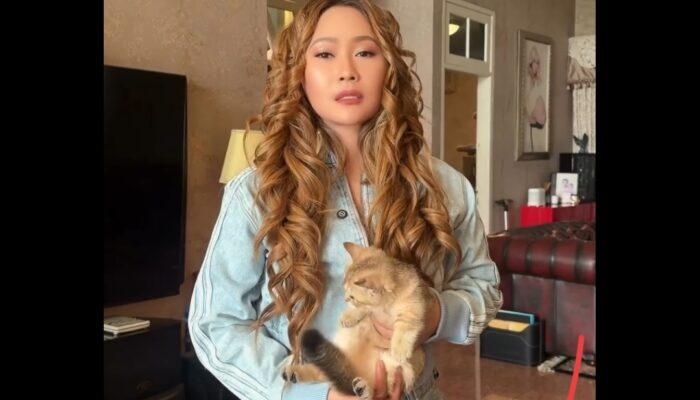 Inul Daratista Menangis, Dua Kucing Kesayangan Hilang 3 Hari Ternyata Terjebak di Lemari