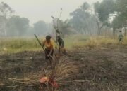 Petani Adat Wanam Butuh Dukungan, MPSI Perkuat Pendampingan