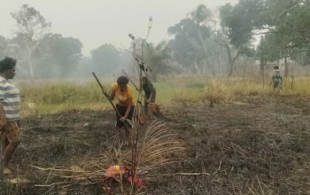 Petani Adat Wanam Butuh Dukungan, MPSI Perkuat Pendampingan