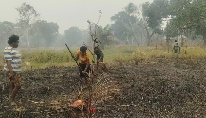 Petani Adat Wanam Butuh Dukungan, MPSI Perkuat Pendampingan