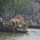 43 Perahu dari Barang Bekas Hiasi Danau Sunter, Pemprov DKI Ajak Warga Pilah Sampah dari Rumah